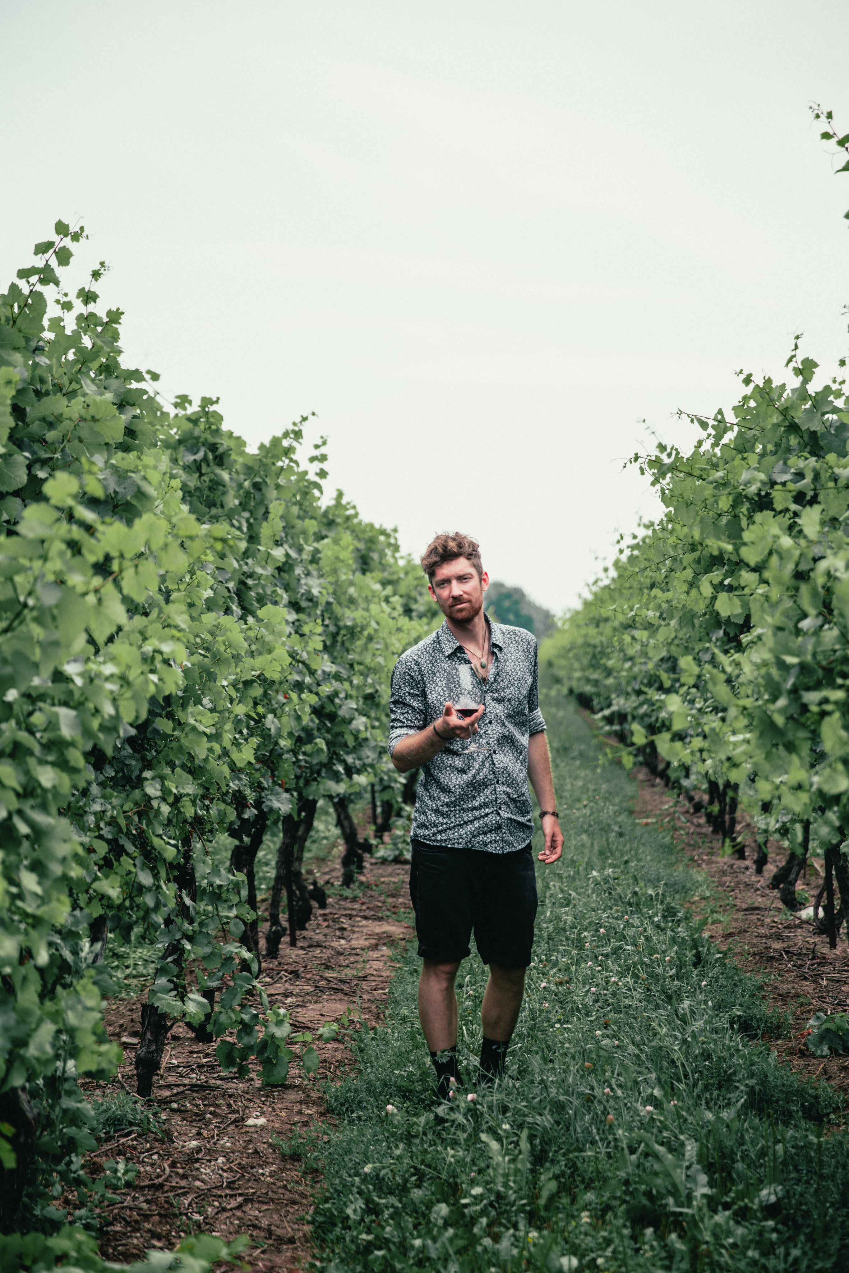 files/mens-fashion-stood-in-vineyard-shirt-and-shorts.jpg